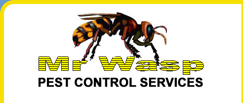 Mr Wasp Pest Control Shrewsbury